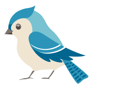 Real-flower-petal-confetti-company-confetti-direct-birds01-1 confetti bird