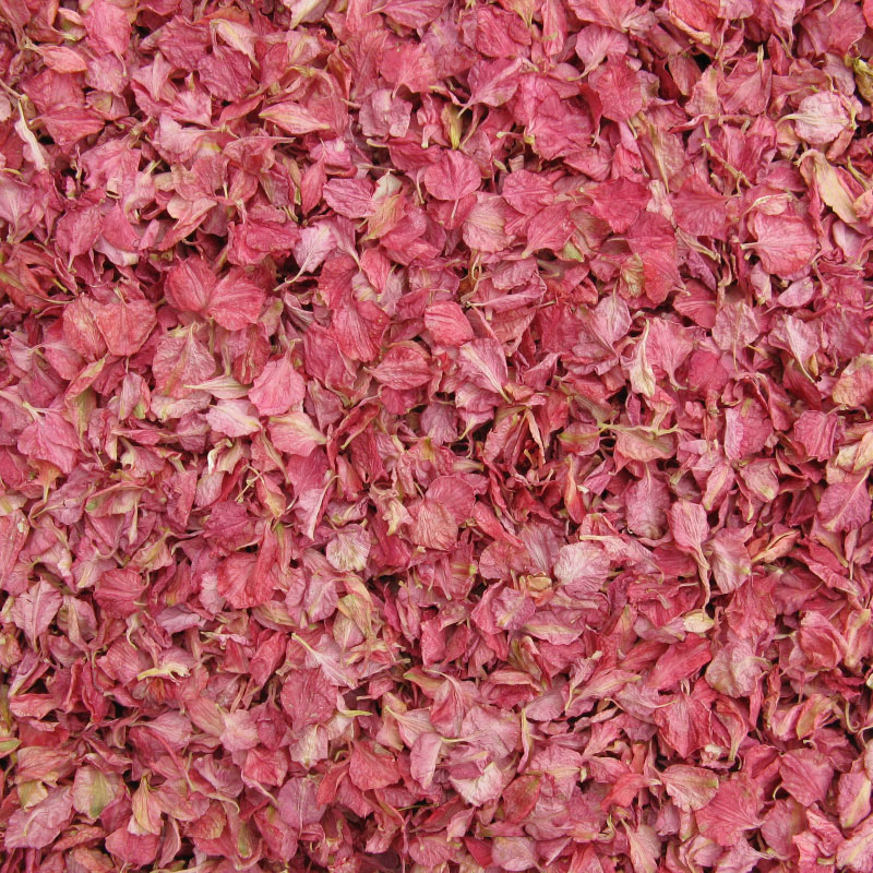 Biodegradable WEDDING CONFETTI IVORY FLUTTERFALL Raspberry Pink Delphinium Petal 