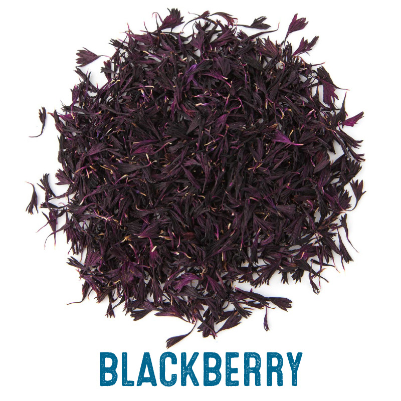 Blackberry wildflower confetti