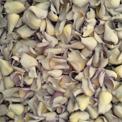 A mass of Oyster Rose Petals from The Real Flower Petal Confetti Company