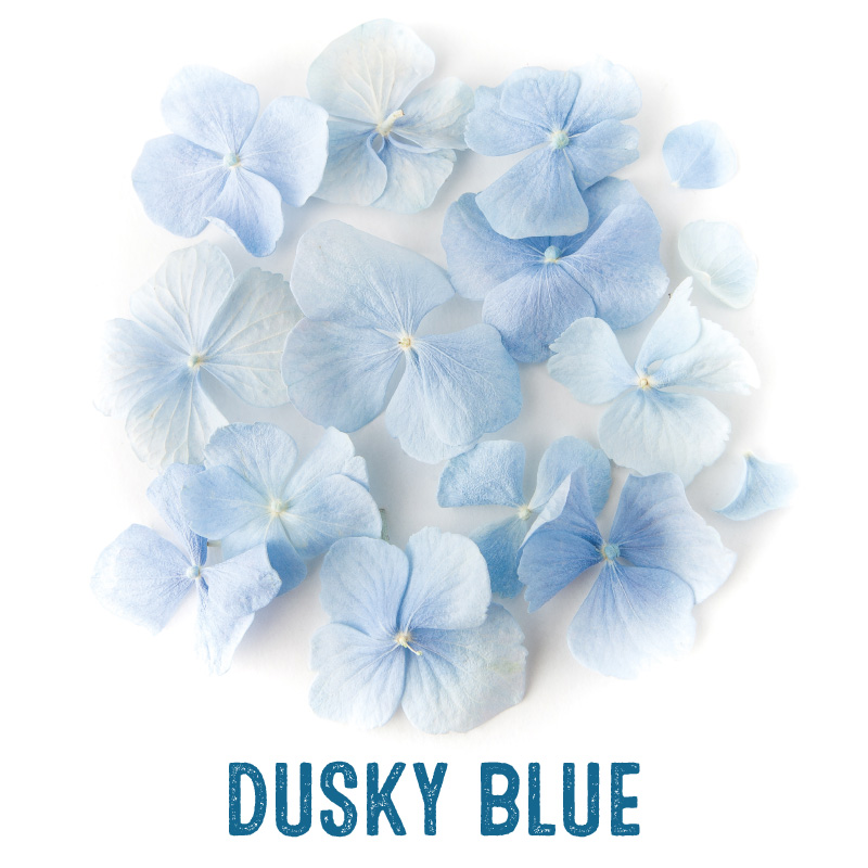 Dusky Blue Hydrangea Petal Confetti