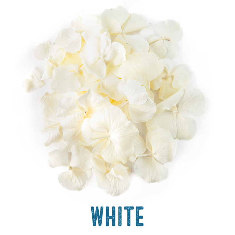 White Hydrangea Petal Confetti