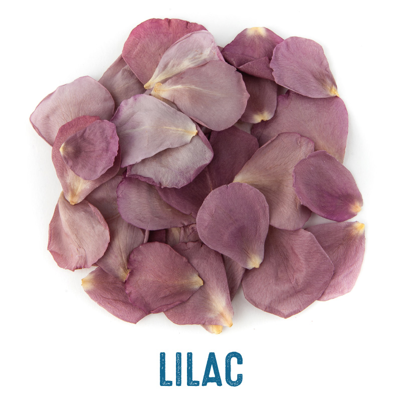 Lilac Small Natural Rose Petal Confetti