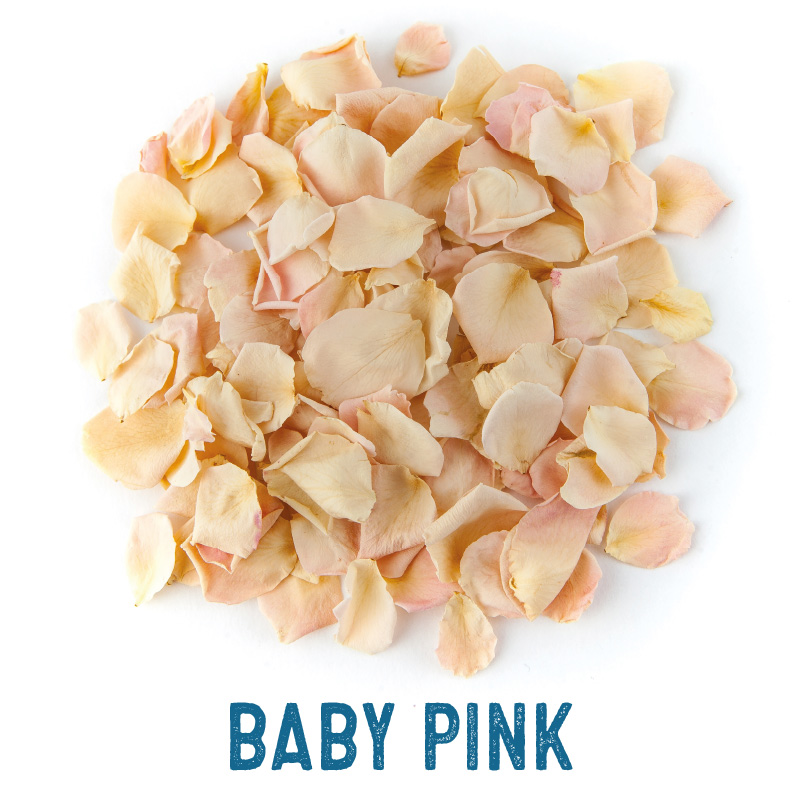 Baby Pink Small Natural Rose Petal Confetti