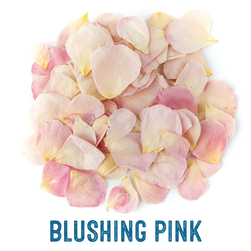 Pink and Cream Rose Petal Confetti Bags 