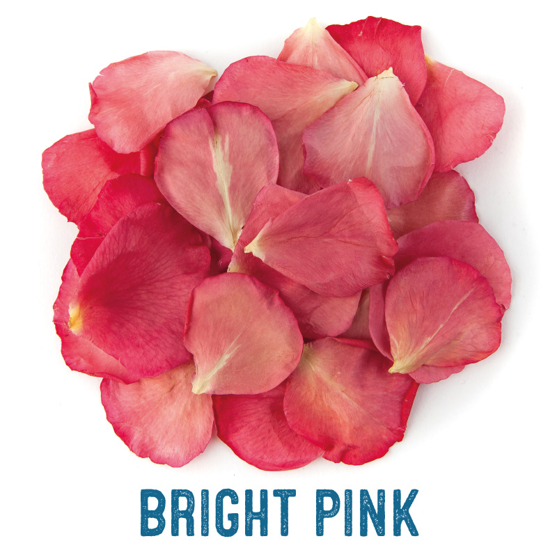 Bright Pink Small Natural Rose Petal Confetti