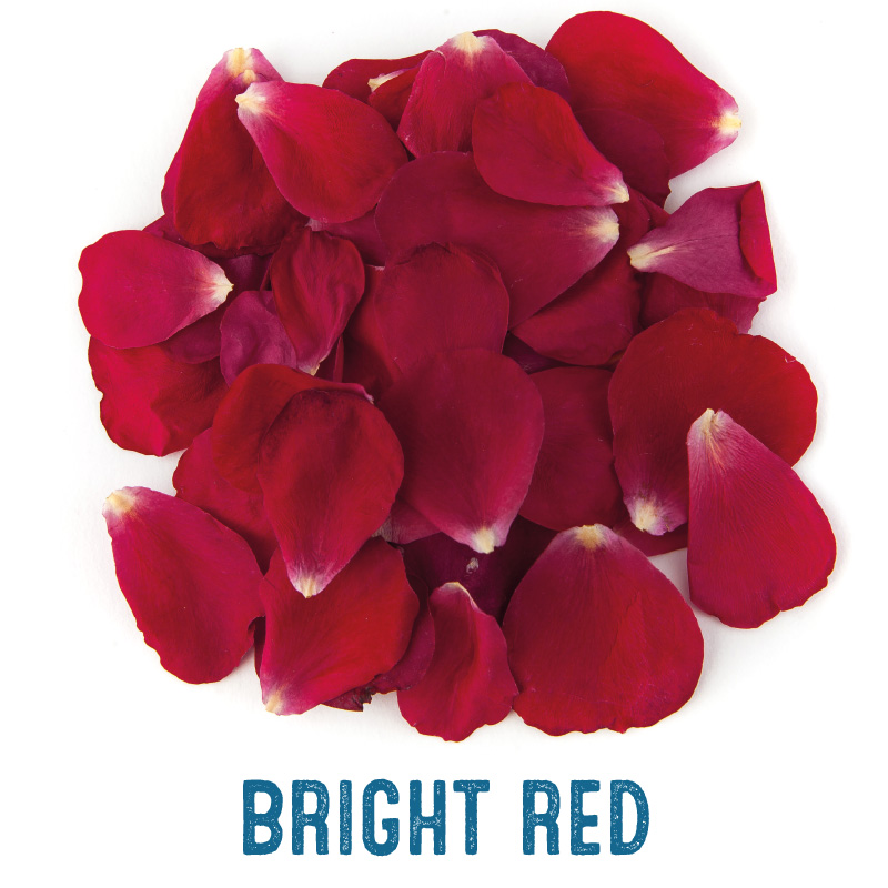 Bright Red Small Natural Rose Petal Confetti