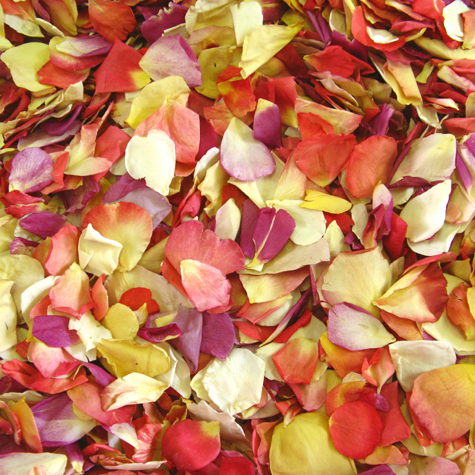 Rose Petal Confetti