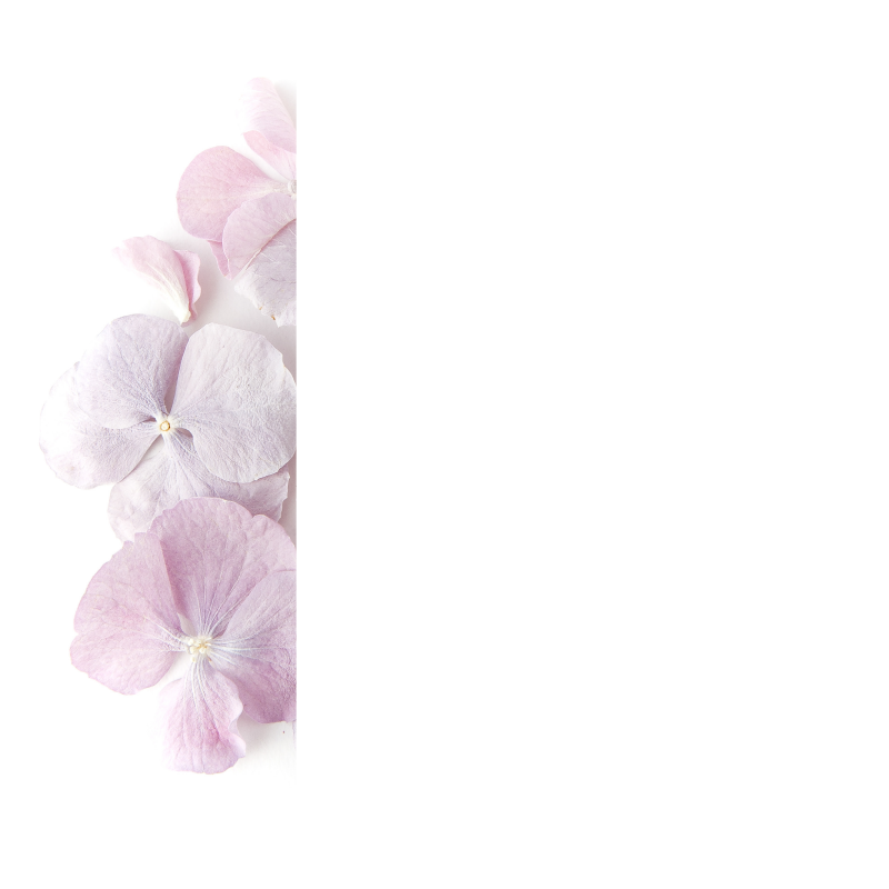 Hydrangea Petal Confetti The Real Flower Petal Confetti Company