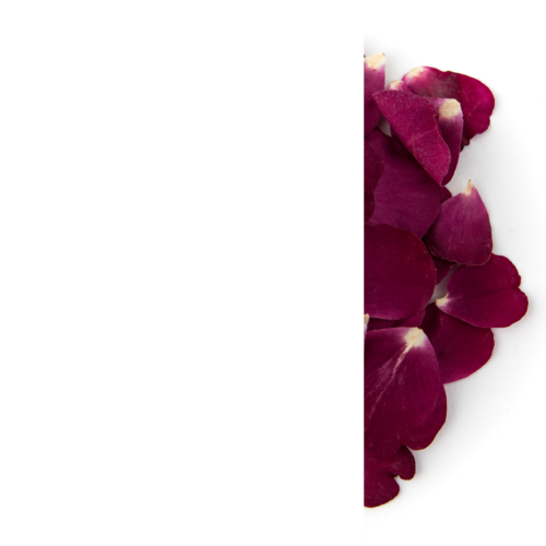 petal envelopes