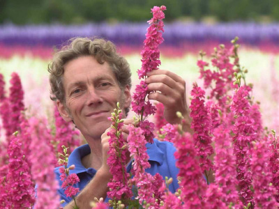 Real-flower-petal-confetti-company-confetti-direct-menu-image-1 charles hudon confetti flower field