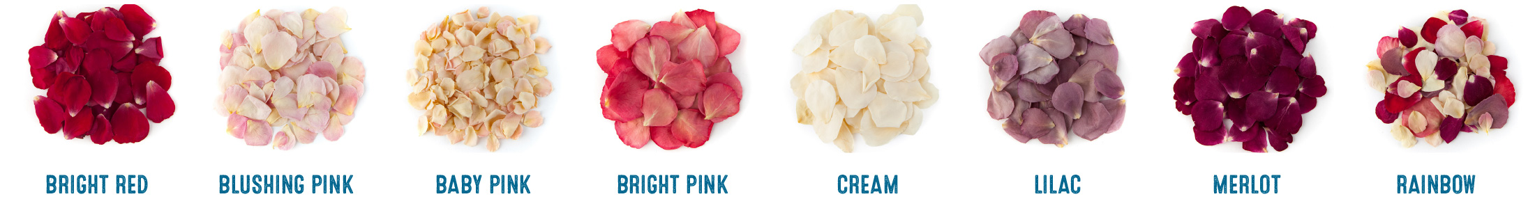 Biodegradable Petal Flower Confetti Raspberry Cream Rose Petals 50 Bags