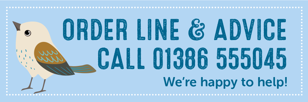 Real-flower-petal-confetti-for-wedding-Confetti-banners-2018-24 confetti order line and advice banner