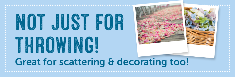 Real-flower-petal-confetti-for-wedding-Confetti-banners-2018-73 confetti decorations banner