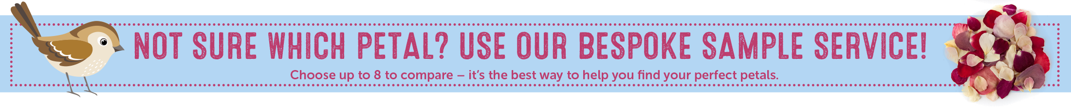 Real-flower-petal-confetti-for-wedding-Confetti-banners-2018-83 confetti sample service banner