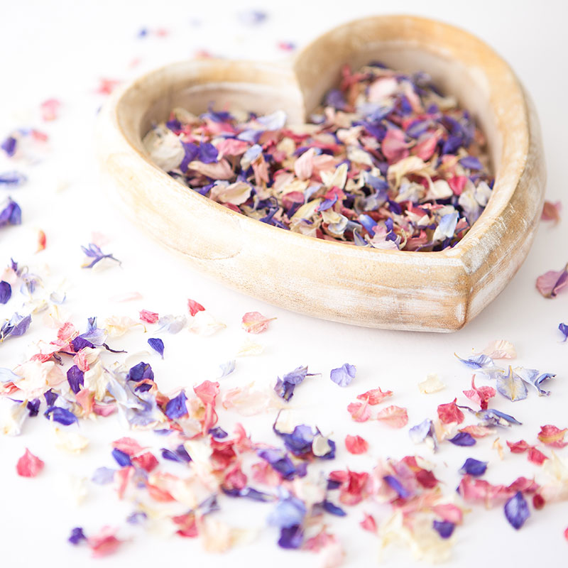 Biodegradable confetti – Delphinium and Wildflower Petal Confetti Biodegradable confetti - Delphinium and Wildflower Petal Confetti