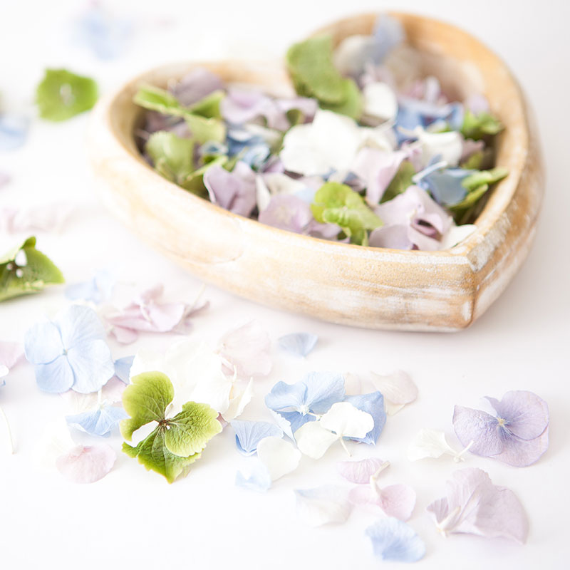 Hydrangea Petal Confetti - hydrangea petals wedding confetti