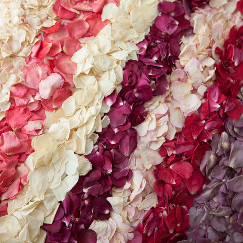 All Small Natural Rose Petal Confetti Products