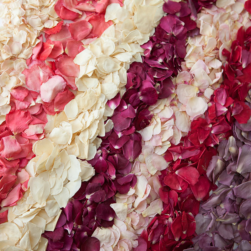 Small Natural Rose Petals Confetti 100 Natural &100 Biodegradable