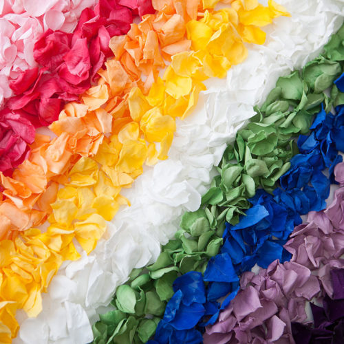 Stripes of different colours of Coloured Rose Petal confetti