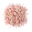 Pale Pink Delphinium Confetti