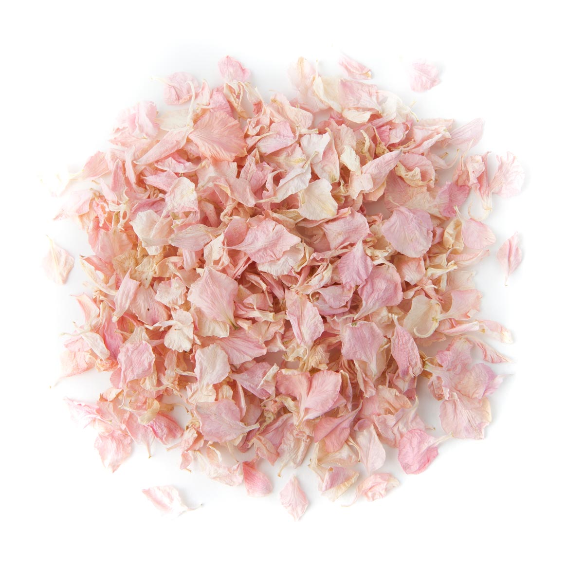 Bright Pink Small Natural Rose Petal Sample - Real Flower Petal Confetti Co