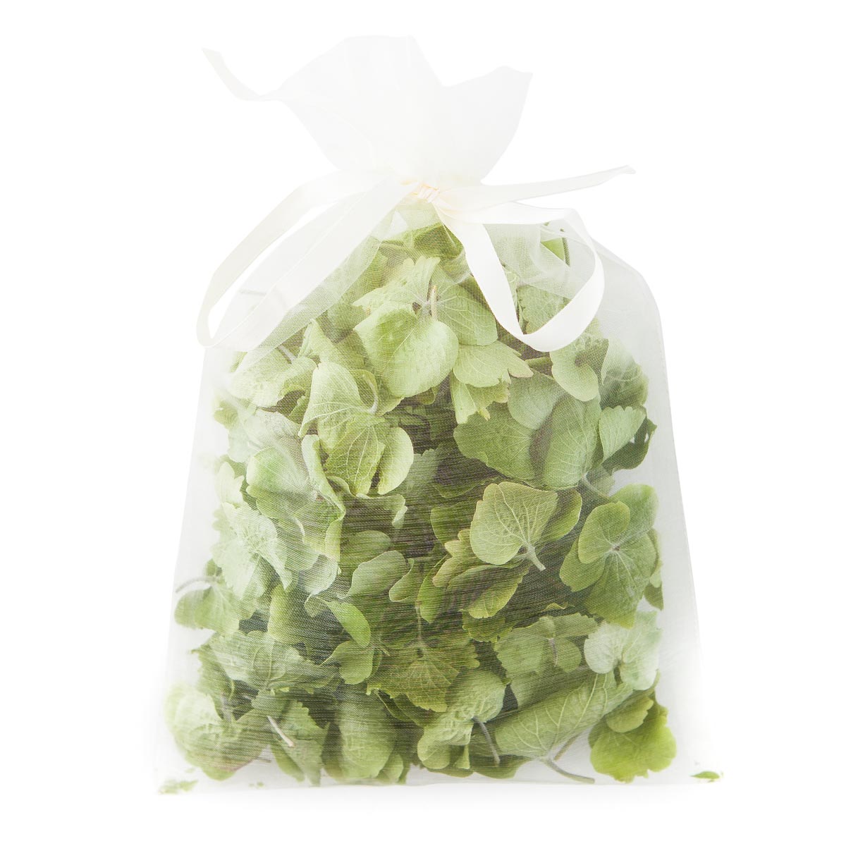 Green Hydrangea Petals - 10 Handful Bag