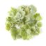 Light Green Hydrangea Confetti