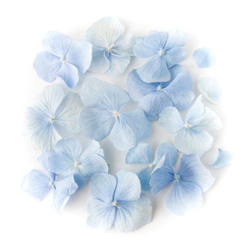 Blue Hydrangea Petal Confetti