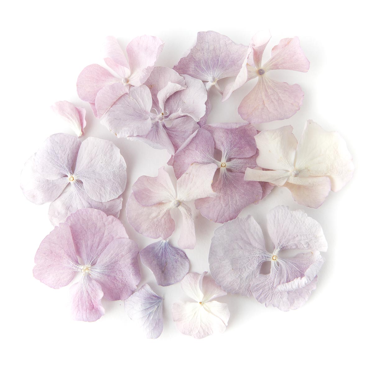 Vintage Lilac Hydrangea Confetti