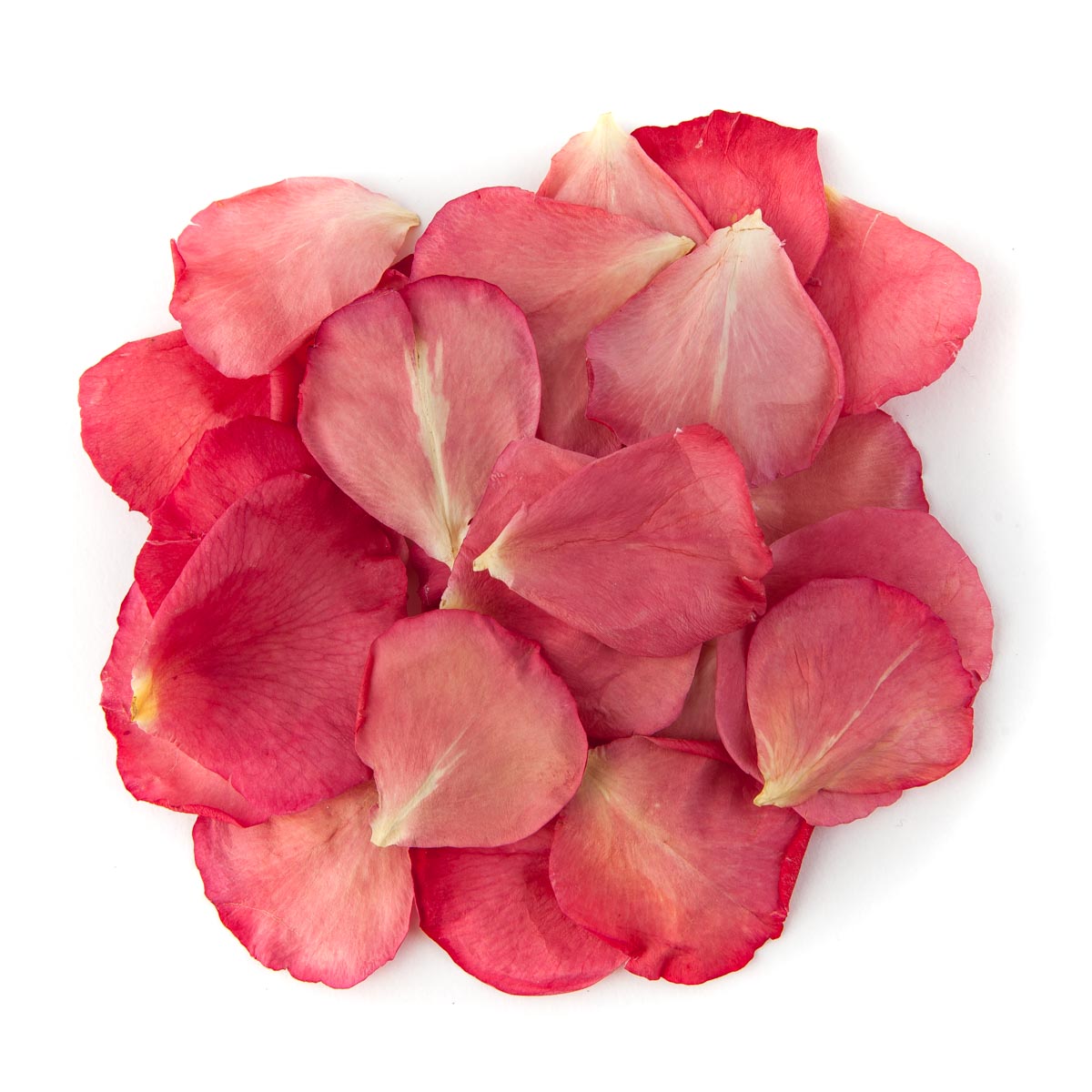 Bright Pink Small Natural Rose Petal Sample - Real Flower Petal