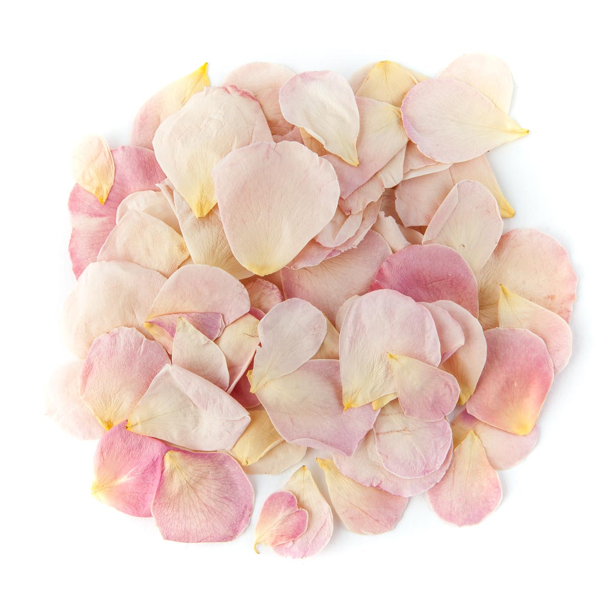 Biodegradable Petal Flower Confetti Pink Ivory Lace Rose Petals 35 Bags 