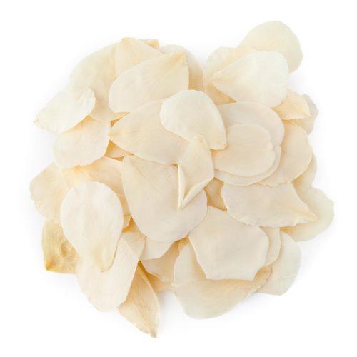 Cream Rose Petals