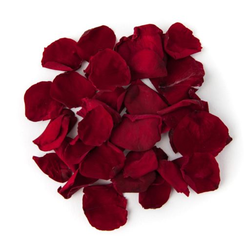 Burgundy Coloured Rose Petal