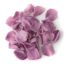Lavender Coloured Rose Petal