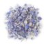 Azure Blue Delphinium Confetti