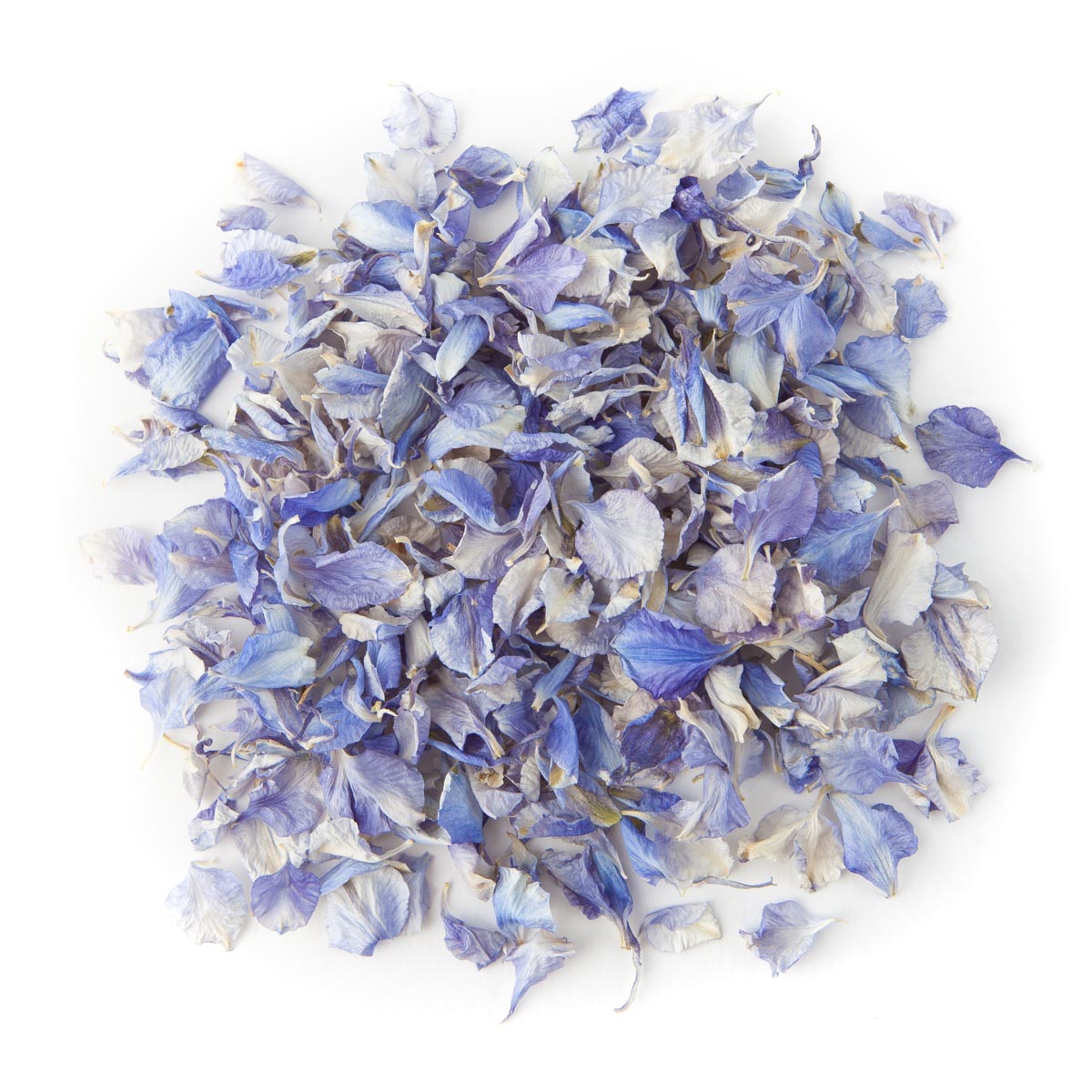 Azure Blue Delphinium Confetti