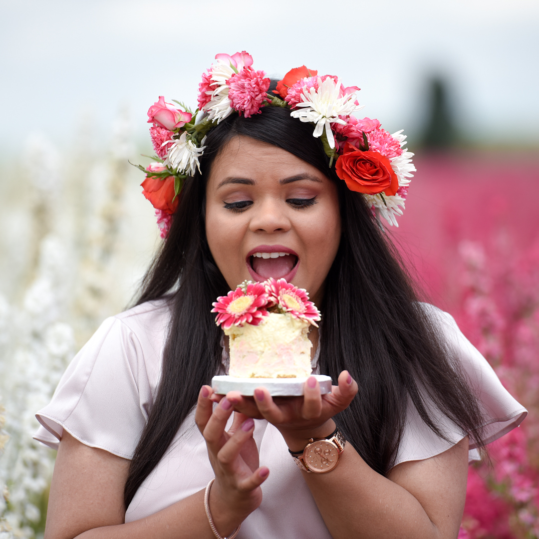 Confetti Flower Field at Wick, Pershore, Worcestershire delphiniums