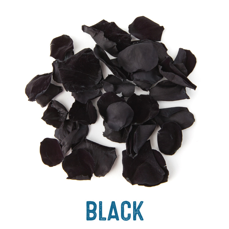 Black coloured Rose Petal Confetti