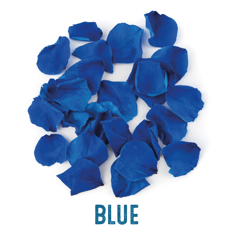 Blue coloured Rose Petal Confetti