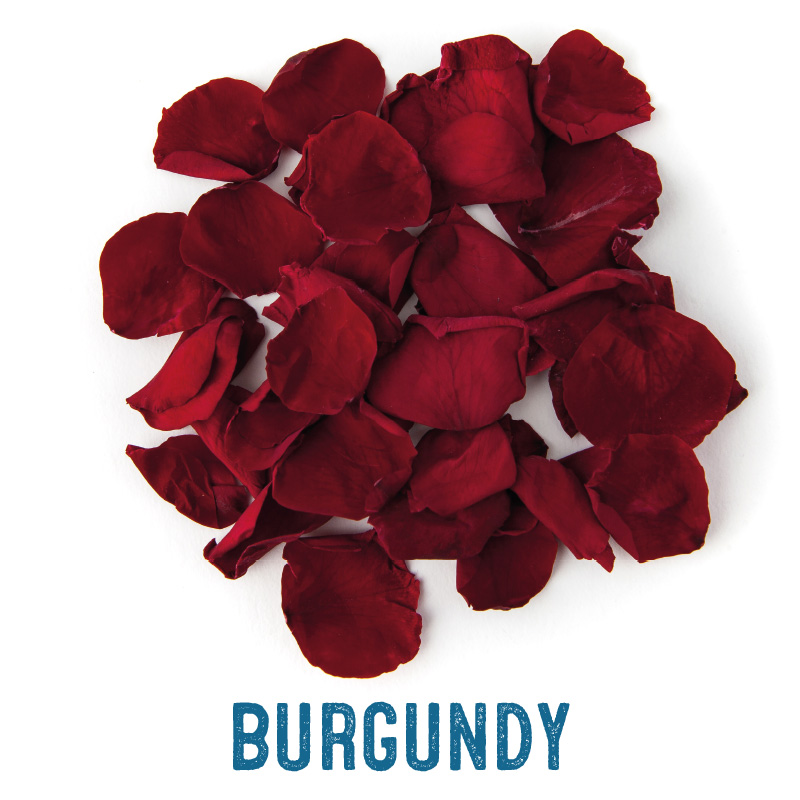 Burgundy petals