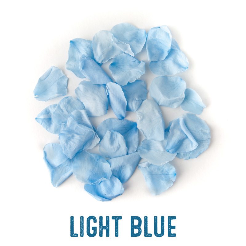 Light Blue petals