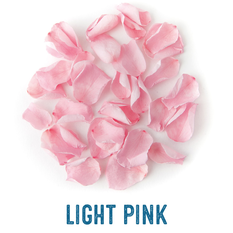 Light Pink petals