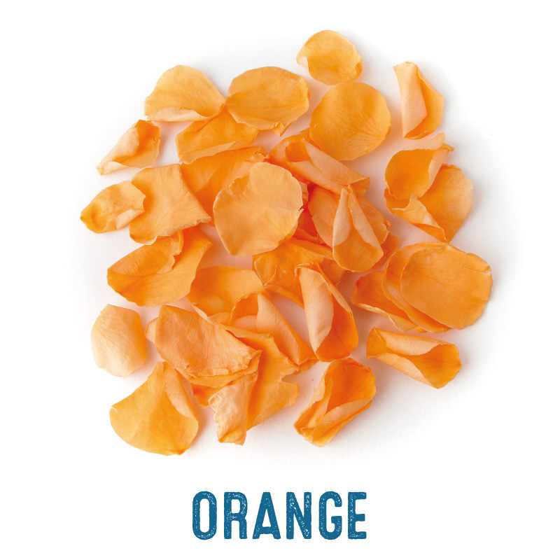 Coloured Rose Petals Real Flower Confetti Company