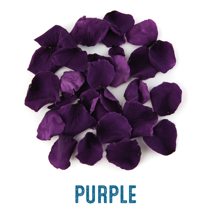 Purple coloured Rose Petal Confetti
