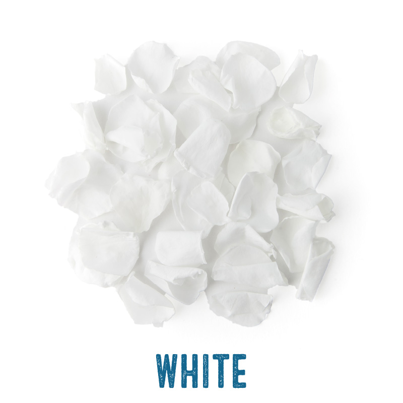 White coloured Rose Petal Confetti