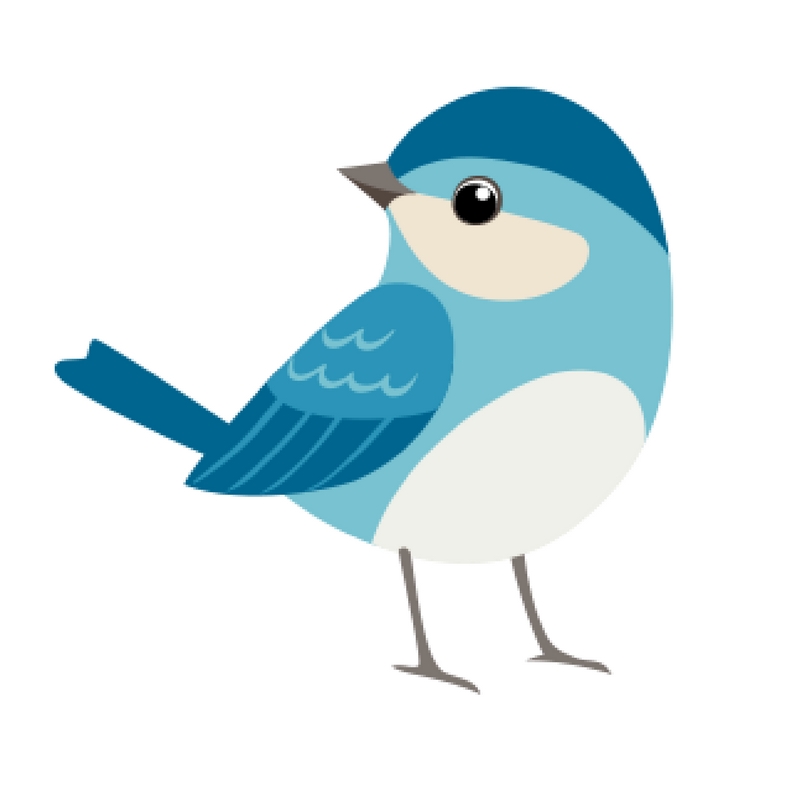 confetti blue bird – square confetti blue bird