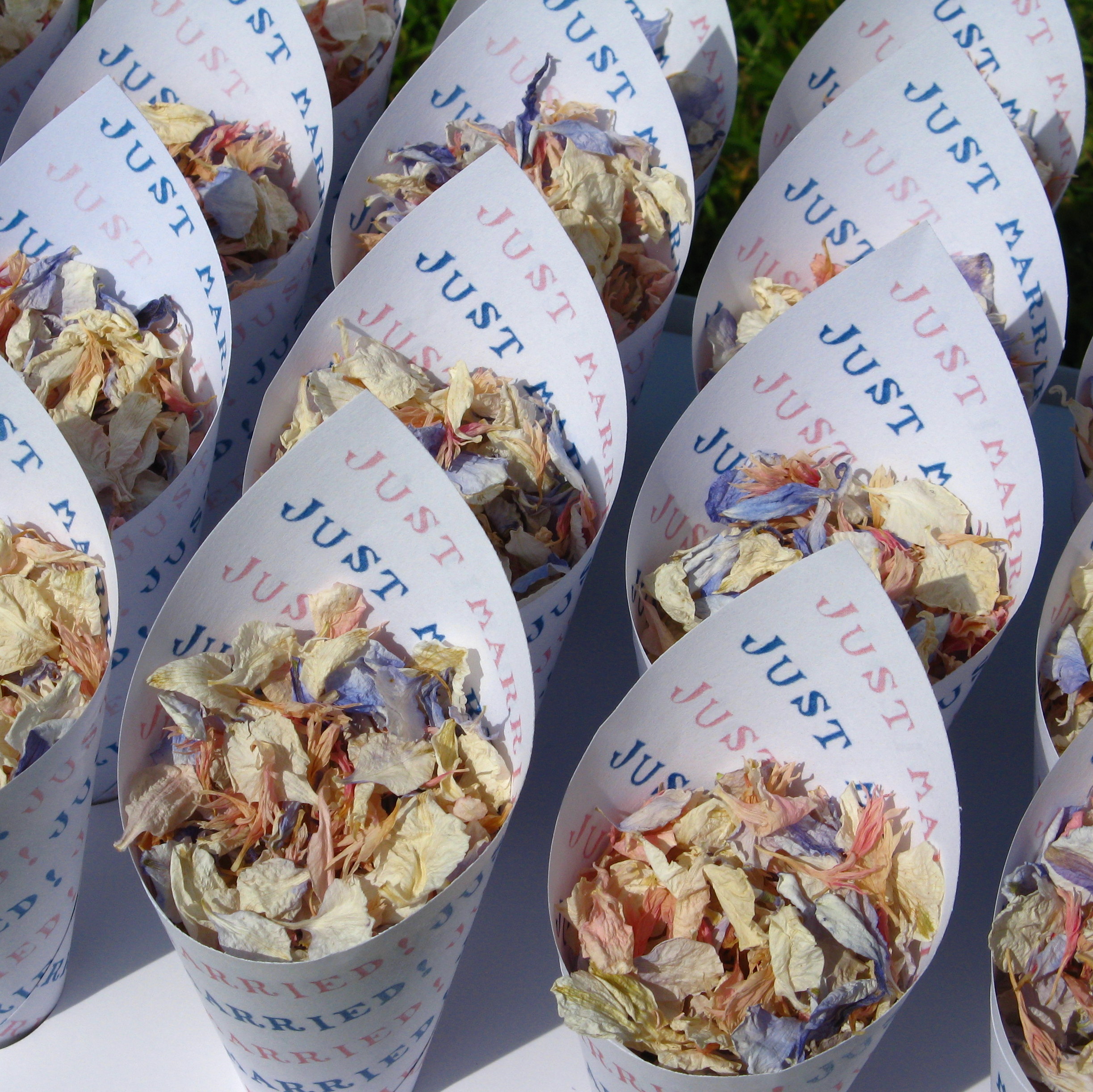 just married confetti cones and delphinium petals just married confetti cones