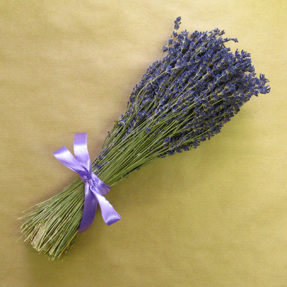 bunch of lavender lavender grains lavender bunches lavender bunch wedding lavender scented lavender real flower petal confetti