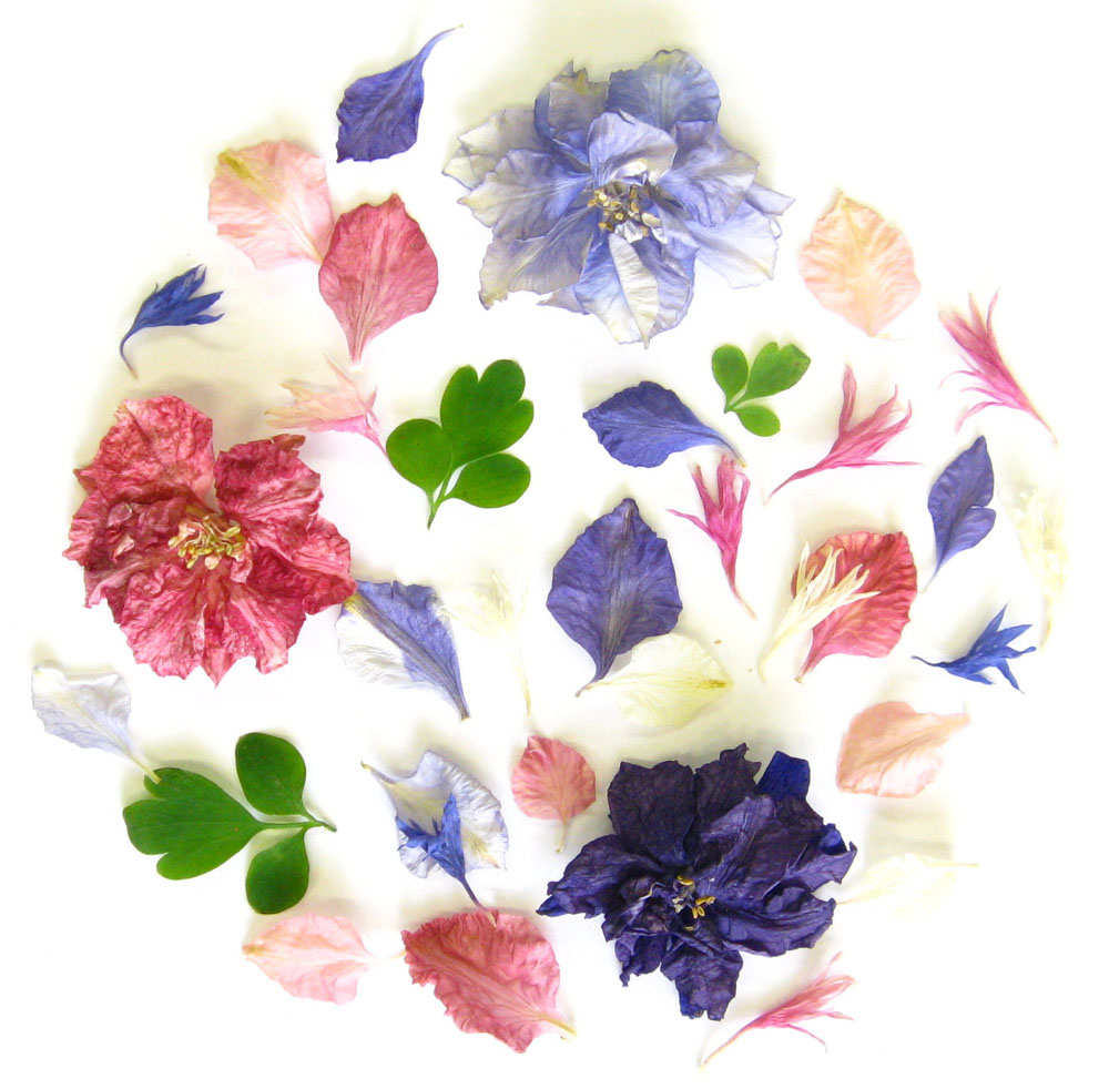 Round petals confetti petals